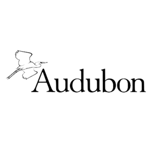 audubon-1
